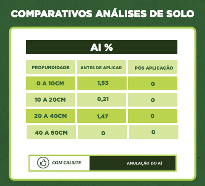 Adão Luiz Seron