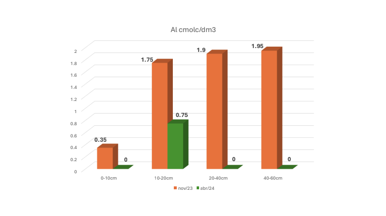 Henrique T. da Fonseca