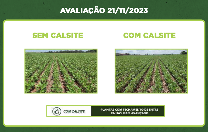 Lúcio Márcio Goldin